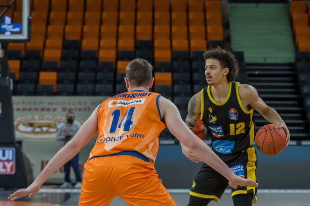 这种体系的 这种体系的